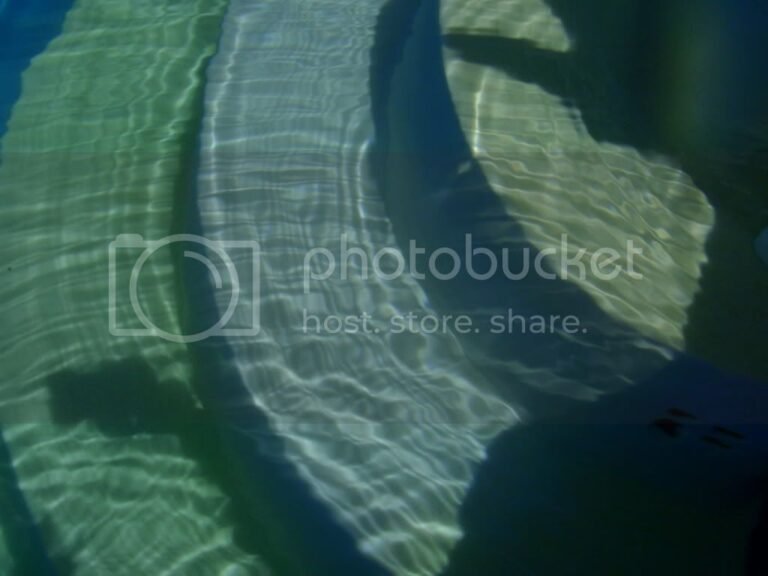 Mustard Algae or Pollen? Here Is How To Know (With Pictures)